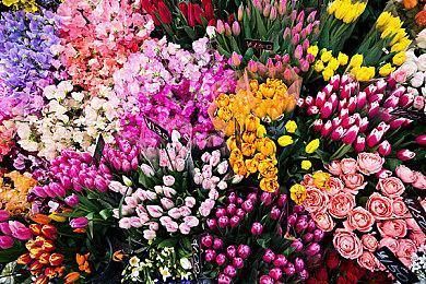 《怪物猎人：崛起》发布“曙光”新PV 将于6月30日正式发售