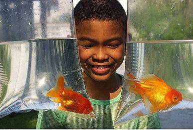 恋爱视觉小说《樱花魅魔6》现已在Steam发售 支持中文